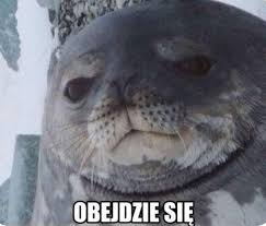 seal Blank Meme Template