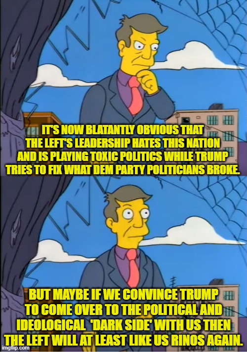 This is WHY the 'republicans' in Congress will not codify Trump's executive orders into law. | IT'S NOW BLATANTLY OBVIOUS THAT THE LEFT'S LEADERSHIP HATES THIS NATION AND IS PLAYING TOXIC POLITICS WHILE TRUMP TRIES TO FIX WHAT DEM PARTY POLITICIANS BROKE. BUT MAYBE IF WE CONVINCE TRUMP TO COME OVER TO THE POLITICAL AND IDEOLOGICAL  'DARK SIDE' WITH US THEN THE LEFT WILL AT LEAST LIKE US RINOS AGAIN. | image tagged in skinner out of touch | made w/ Imgflip meme maker