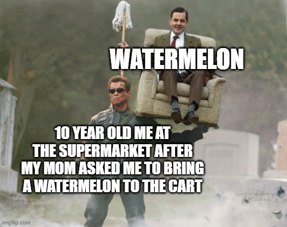10 year old me considered this the best help i could possibly give in the supermarket | WATERMELON; 10 YEAR OLD ME AT THE SUPERMARKET AFTER MY MOM ASKED ME TO BRING A WATERMELON TO THE CART | image tagged in arnold schwarzenegger mr bean | made w/ Imgflip meme maker