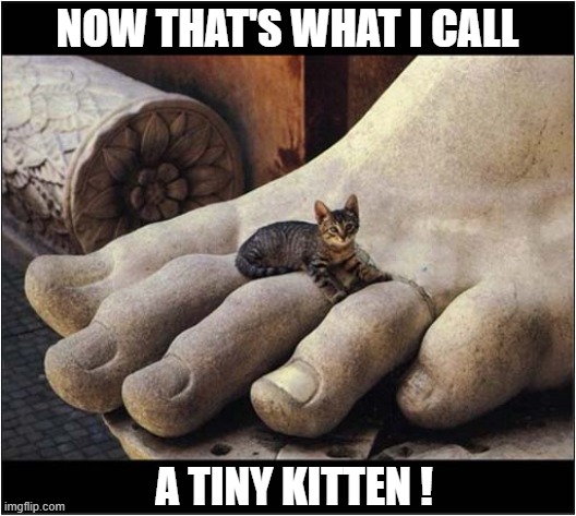 Does That Tickle ? | NOW THAT'S WHAT I CALL; A TINY KITTEN ! | image tagged in cats,kitten,tickle,statue | made w/ Imgflip meme maker