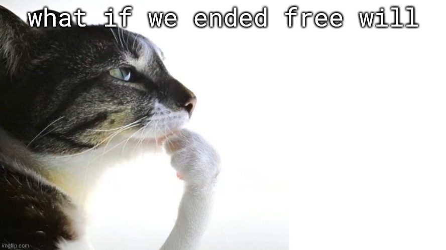 Thinker | what if we ended free will | image tagged in thinker | made w/ Imgflip meme maker