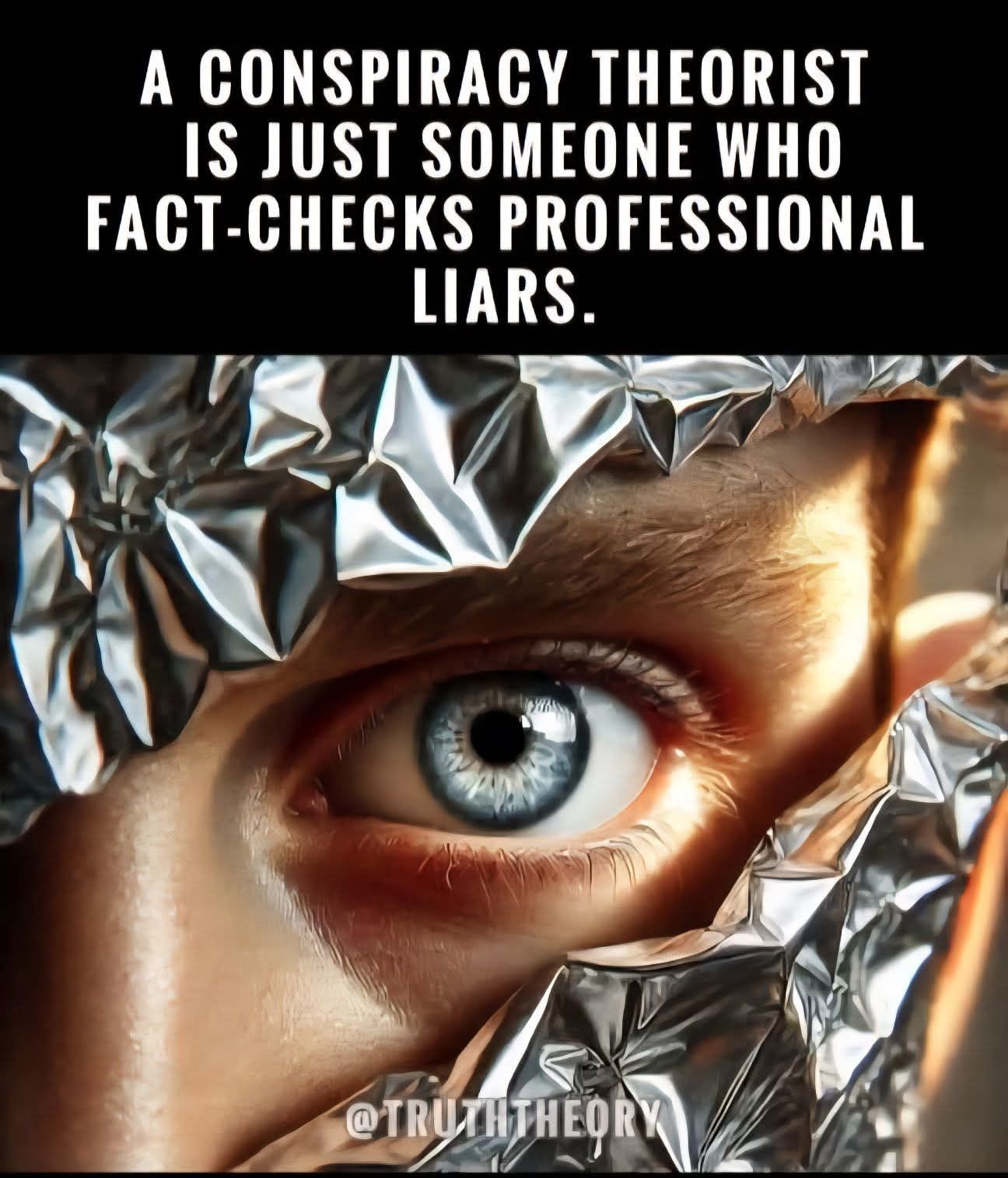 TIN FOIL HAT Blank Meme Template