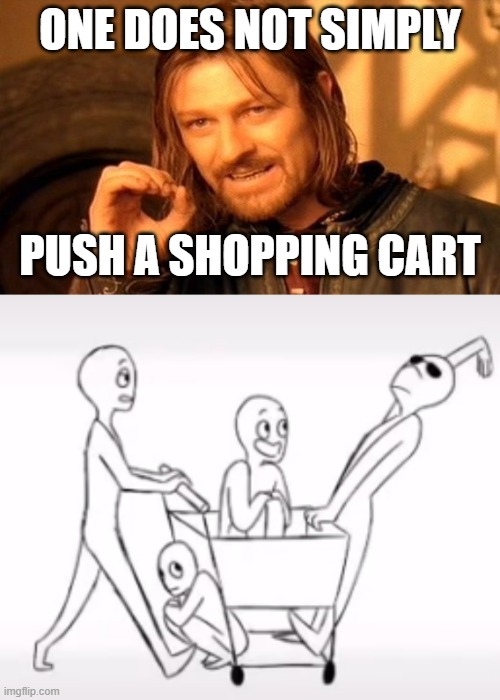 One does not simply push a shopping cart | ONE DOES NOT SIMPLY; PUSH A SHOPPING CART | image tagged in memes,one does not simply,4 people on shopping cart | made w/ Imgflip meme maker