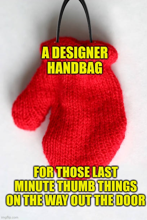Mitten | A DESIGNER HANDBAG; FOR THOSE LAST MINUTE THUMB THINGS ON THE WAY OUT THE DOOR | image tagged in mitten | made w/ Imgflip meme maker