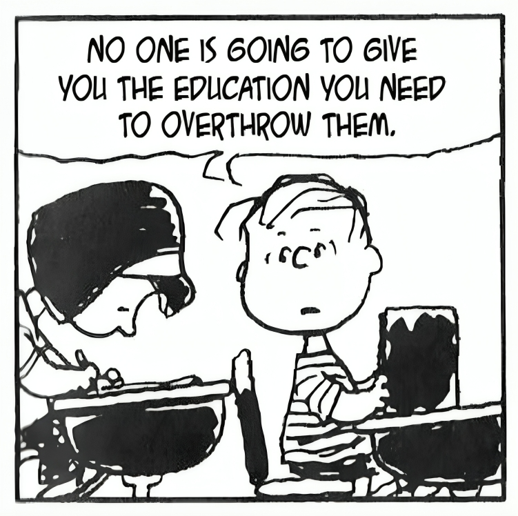 No one is going to give you the education you need to overthrow Blank Meme Template