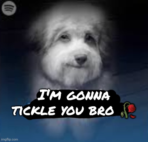 I'm gonna tickle you bro ? | I'm gonna tickle you bro 🥀 | image tagged in this dog is fucked up bruh,i'm gonna tickle you bro | made w/ Imgflip meme maker
