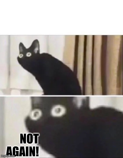 Oh No Black Cat | NOT AGAIN! | image tagged in oh no black cat | made w/ Imgflip meme maker