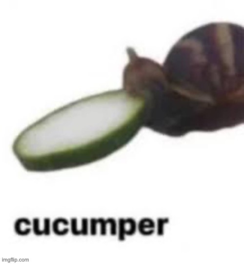 cucumber | image tagged in msmg | made w/ Imgflip meme maker