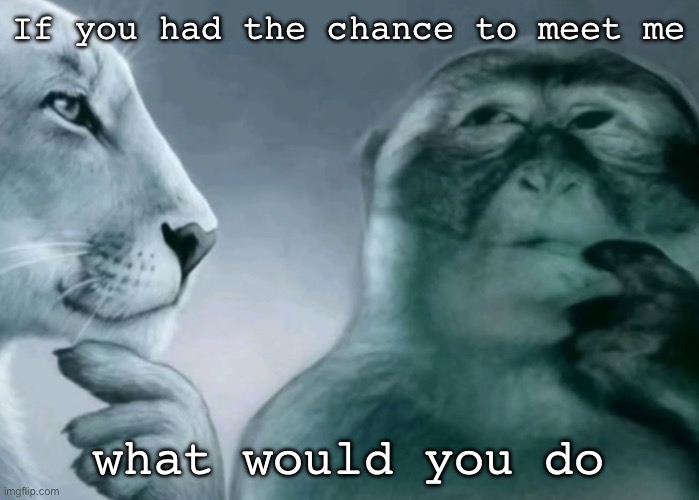 Is this ragebait? | If you had the chance to meet me; what would you do | image tagged in is this ragebait | made w/ Imgflip meme maker