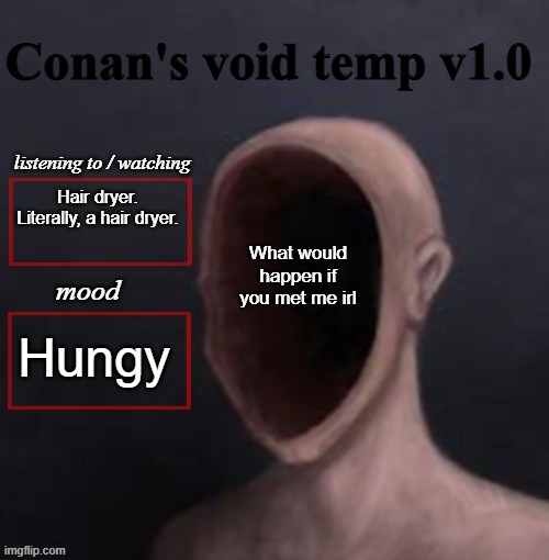 hopping on the trend | Hair dryer. Literally, a hair dryer. What would happen if you met me irl; Hungy | image tagged in conan void temp | made w/ Imgflip meme maker