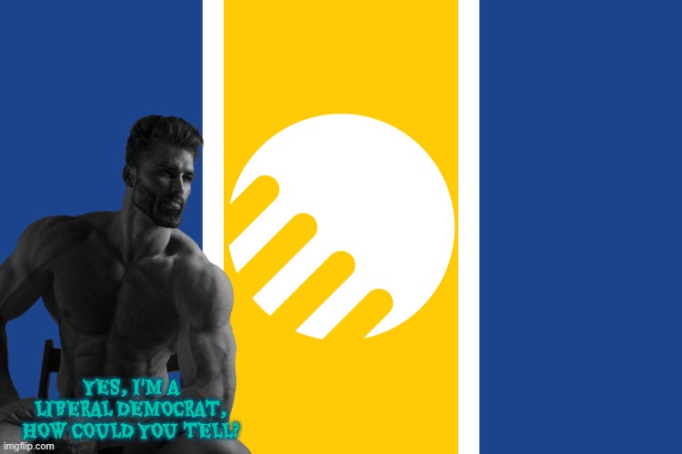 YES, I'M A LIBERAL DEMOCRAT, HOW COULD YOU TELL? | image tagged in liberal democracy,giga chad | made w/ Imgflip meme maker