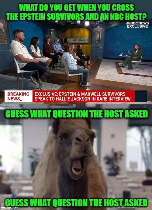The Fact that is isn't in the News 24/7 Today Screams Volumes | WHAT DO YOU GET WHEN YOU CROSS THE EPSTEIN SURVIVORS AND AN NBC HOST? GUESS WHAT QUESTION THE HOST ASKED; GUESS WHAT QUESTION THE HOST ASKED | image tagged in hump day camel | made w/ Imgflip meme maker