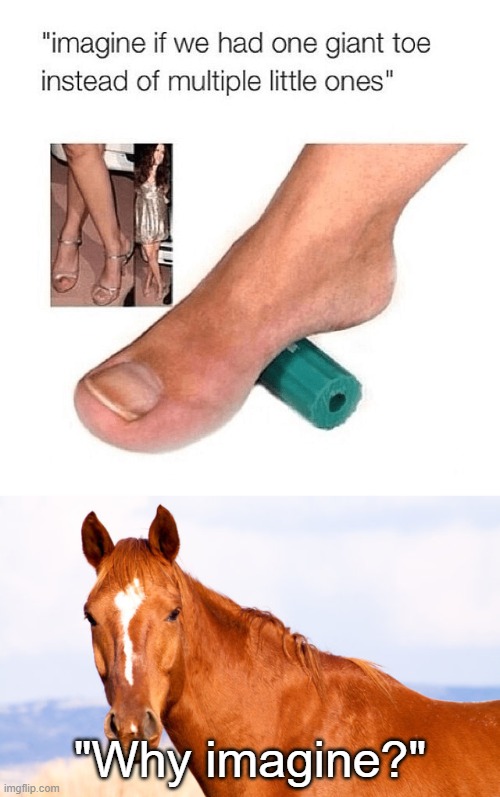 neigh | "Why imagine?" | image tagged in horse,memes | made w/ Imgflip meme maker