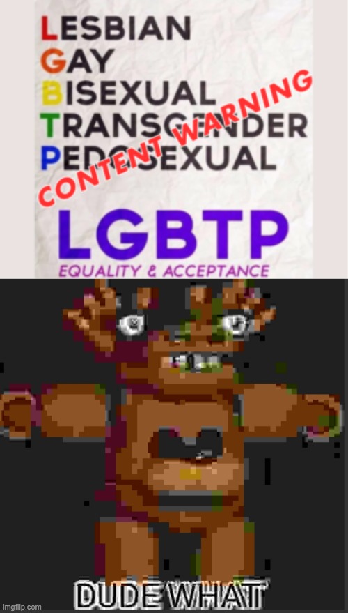 LGBTP? no no no no no no! pedophiles are never welcome in the LGBT community | image tagged in dude what,lgbt,pedophile,fnaf | made w/ Imgflip meme maker