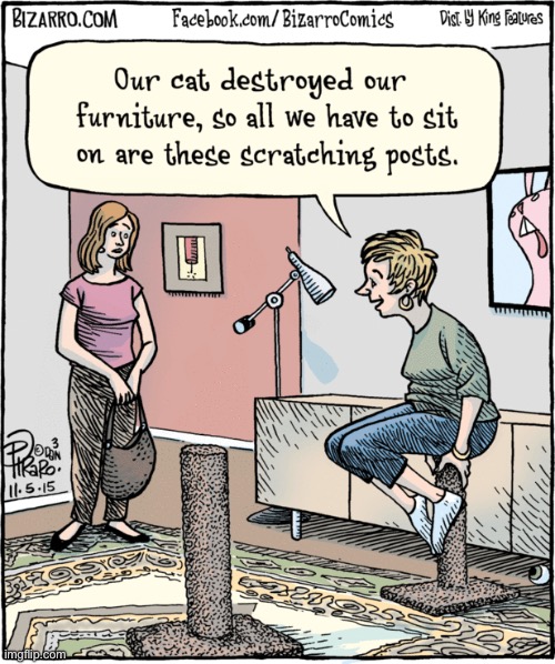 Bizarro Comics | image tagged in comics,bizarro comics,scratching posts,destroyed,cats | made w/ Imgflip meme maker