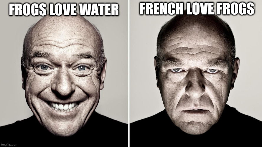 Frog love | FRENCH LOVE FROGS; FROGS LOVE WATER | image tagged in dean norris's reaction,frogs,french,frog legs,memes,amphibians | made w/ Imgflip meme maker