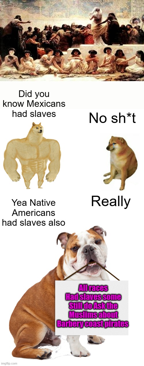 NWO deep state schools will never teach you truth, they teach their agendas LIKE dems do. | Did you know Mexicans had slaves; No sh*t; Really; Yea Native Americans had slaves also; All races Had slaves some Still do Ask the Muslims about Barbery coast pirates | image tagged in memes,buff doge vs cheems,bulldog holding blank sign | made w/ Imgflip meme maker