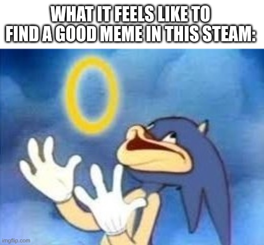 You Hate Me But It's True | WHAT IT FEELS LIKE TO FIND A GOOD MEME IN THIS STEAM: | image tagged in sonic and da ring | made w/ Imgflip meme maker