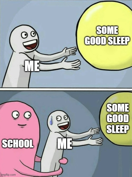 the school schedules suck | SOME GOOD SLEEP; ME; SOME GOOD SLEEP; SCHOOL; ME | image tagged in memes,running away balloon | made w/ Imgflip meme maker