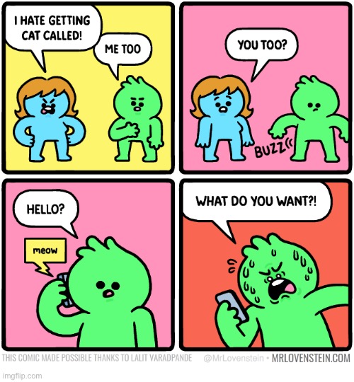 Mr. Lovenstein | image tagged in comics,mr lovenstein,cat calls | made w/ Imgflip meme maker