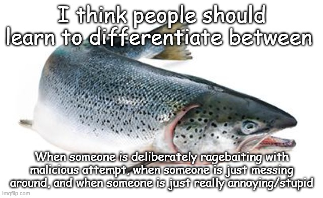 salmon | I think people should learn to differentiate between; When someone is deliberately ragebaiting with malicious attempt, when someone is just messing around, and when someone is just really annoying/stupid | image tagged in salmon | made w/ Imgflip meme maker