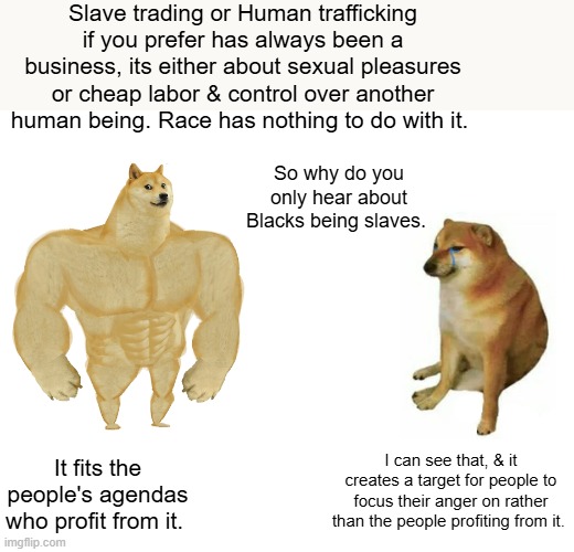 Get it ? | Slave trading or Human trafficking if you prefer has always been a business, its either about sexual pleasures or cheap labor & control over another human being. Race has nothing to do with it. So why do you only hear about Blacks being slaves. I can see that, & it creates a target for people to focus their anger on rather than the people profiting from it. It fits the people's agendas who profit from it. | image tagged in memes,buff doge vs cheems | made w/ Imgflip meme maker