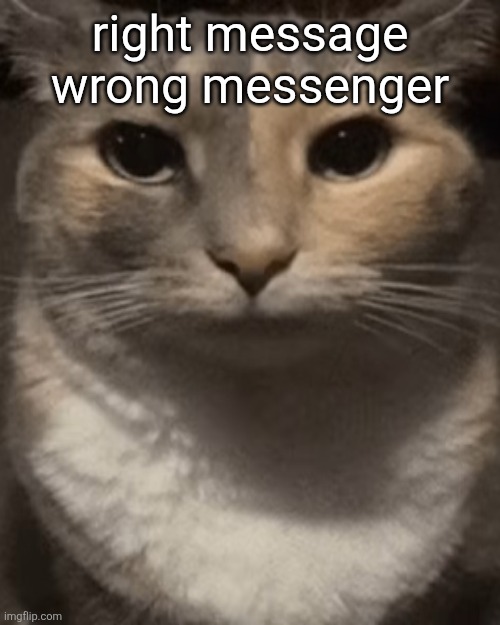 brochacho | right message wrong messenger | image tagged in brochacho | made w/ Imgflip meme maker