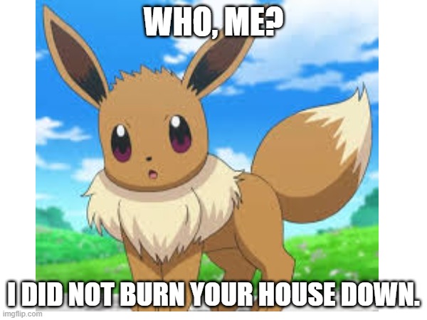 WHO, ME? I DID NOT BURN YOUR HOUSE DOWN. | made w/ Imgflip meme maker