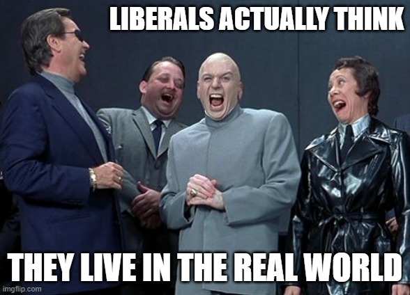 Laughing Villains | LIBERALS ACTUALLY THINK; THEY LIVE IN THE REAL WORLD | image tagged in memes,laughing villains | made w/ Imgflip meme maker