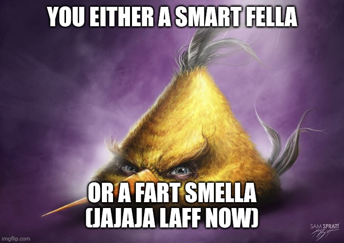 Realistic yellow angry bird | YOU EITHER A SMART FELLA; OR A FART SMELLA
(JAJAJA LAFF NOW) | image tagged in realistic yellow angry bird | made w/ Imgflip meme maker