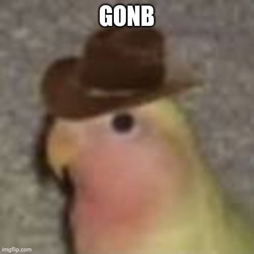 Gonb | GONB | image tagged in gonb,g,o,n,b | made w/ Imgflip meme maker