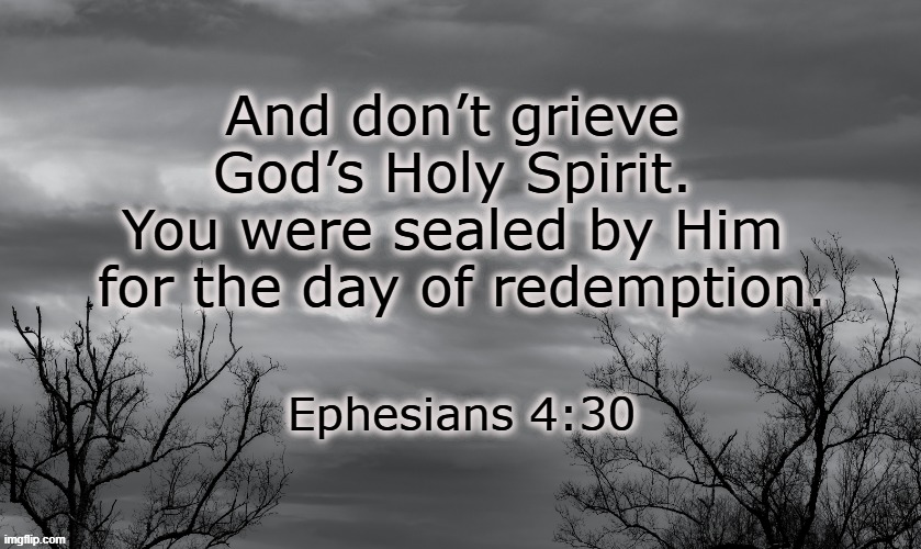 Ephesians 4:30 | And don’t grieve 
God’s Holy Spirit. 
You were sealed by Him 
for the day of redemption. Ephesians 4:30 | image tagged in holy spirit,god's spirit,grieving god,grieving holy spirit,redemption,photo by artinun prekmoung | made w/ Imgflip meme maker