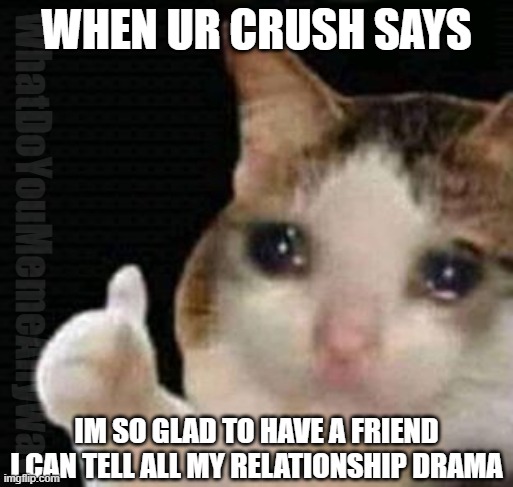 sad thumbs up cat | WHEN UR CRUSH SAYS; WhatDoYouMemeAnyway; IM SO GLAD TO HAVE A FRIEND I CAN TELL ALL MY RELATIONSHIP DRAMA | image tagged in sad thumbs up cat,alright i get it,okay | made w/ Imgflip meme maker