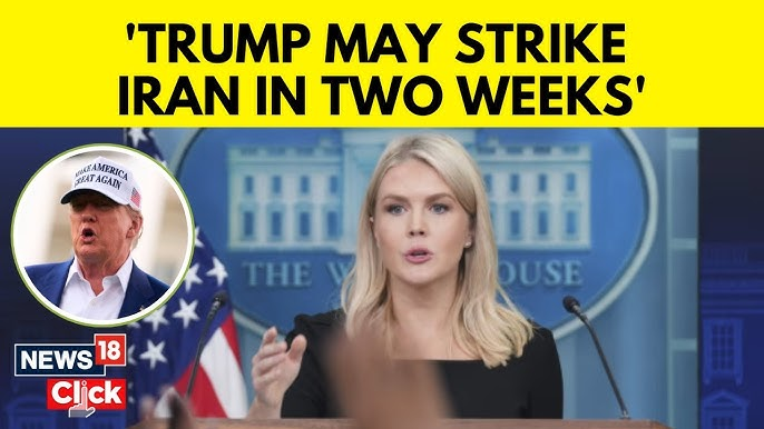 news reporter Blank Meme Template