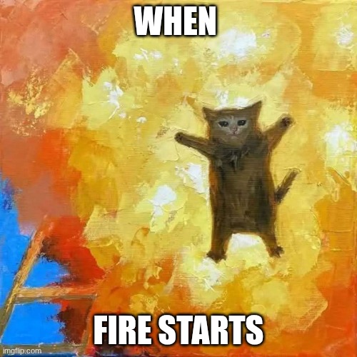 flying cat | WHEN; FIRE STARTS | image tagged in flying cat | made w/ Imgflip meme maker