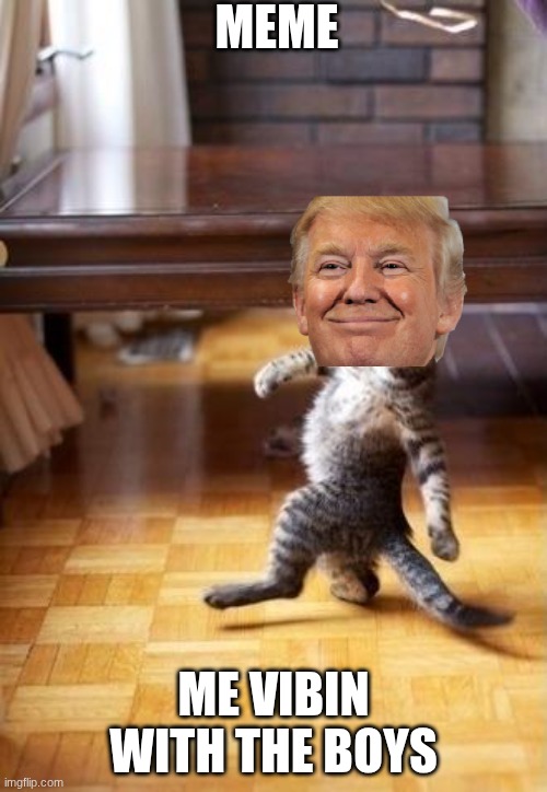 Cool Cat Stroll | MEME; ME VIBIN WITH THE BOYS | image tagged in memes,cool cat stroll | made w/ Imgflip meme maker
