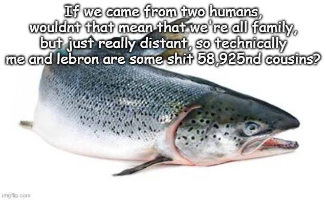 salmon | If we came from two humans, wouldnt that mean that we're all family, but just really distant, so technically me and lebron are some shit 58,925nd cousins? | image tagged in salmon | made w/ Imgflip meme maker