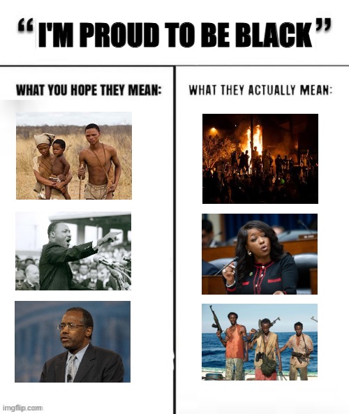 not everything is about race | I'M PROUD TO BE BLACK | image tagged in what you hope they mean vs what they actually mean,politics,funny | made w/ Imgflip meme maker