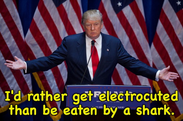 Donald Trump | I'd rather get electrocuted than be eaten by a shark. | image tagged in donald trump | made w/ Imgflip meme maker