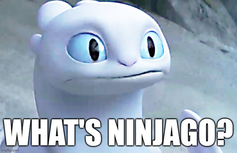Light fury | WHAT'S NINJAGO? | image tagged in light fury | made w/ Imgflip meme maker