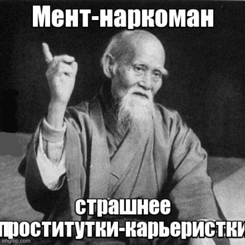 -The lawful drugs usage. | image tagged in foreign policy,fear and loathing cat,police brutality,prostitute,i'm about to end this man's whole career,war on drugs | made w/ Imgflip meme maker