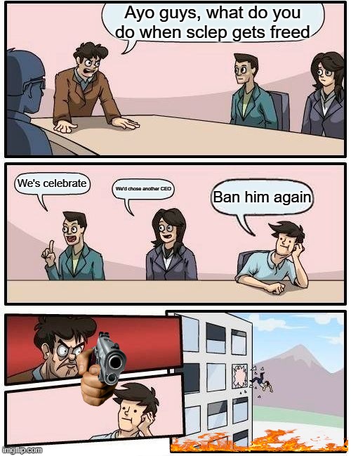 what do we do when schlep gets freed | Ayo guys, what do you do when sclep gets freed; We's celebrate; We'd chose another CEO; Ban him again | image tagged in memes,boardroom meeting suggestion | made w/ Imgflip meme maker