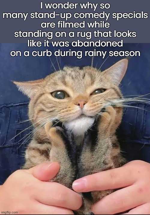 No judgement. Just a curious observation | I wonder why so many stand-up comedy specials are filmed while standing on a rug that looks like it was abandoned on a curb during rainy season | image tagged in funny memes,stand up | made w/ Imgflip meme maker