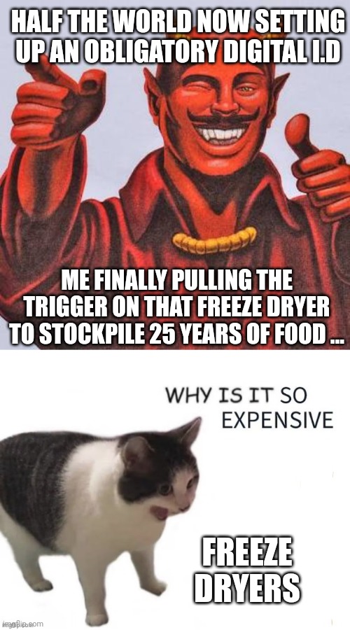 3k here for a slightly used one!! Argh.. | HALF THE WORLD NOW SETTING UP AN OBLIGATORY DIGITAL I.D; ME FINALLY PULLING THE TRIGGER ON THAT FREEZE DRYER TO STOCKPILE 25 YEARS OF FOOD ... FREEZE DRYERS | image tagged in buddy satan,why is it so expensive | made w/ Imgflip meme maker