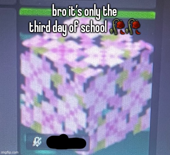 bro it’s only the third day of school 🥀🥀 | made w/ Imgflip meme maker