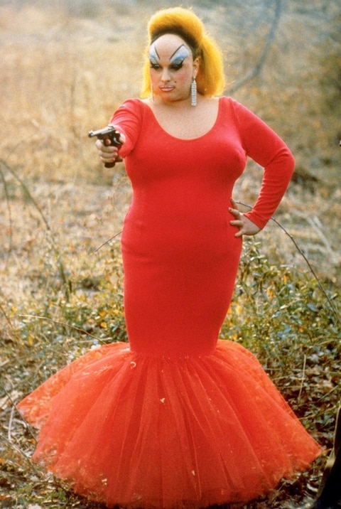 Pink Flamingos Blank Meme Template