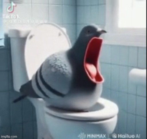 Loud ass pigeon | made w/ Imgflip meme maker