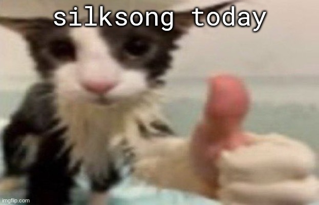 ​ | silksong today | image tagged in soggy cat thumbs up | made w/ Imgflip meme maker
