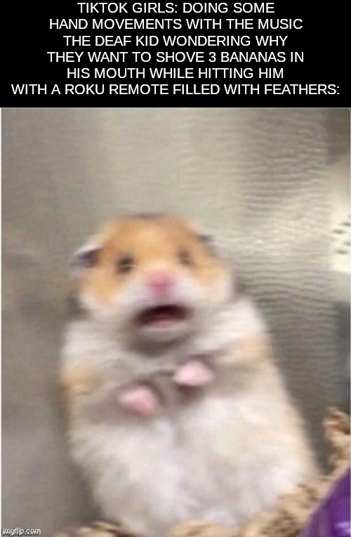 I think he misunderstood.. | TIKTOK GIRLS: DOING SOME HAND MOVEMENTS WITH THE MUSIC
THE DEAF KID WONDERING WHY THEY WANT TO SHOVE 3 BANANAS IN HIS MOUTH WHILE HITTING HIM WITH A ROKU REMOTE FILLED WITH FEATHERS: | image tagged in scared hamster | made w/ Imgflip meme maker