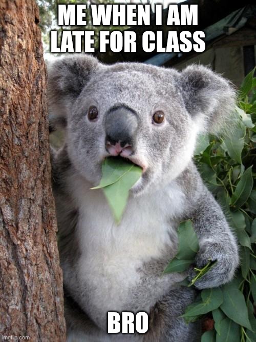 Surprised Koala | ME WHEN I AM LATE FOR CLASS; BRO | image tagged in memes,surprised koala | made w/ Imgflip meme maker